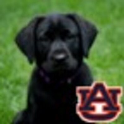 Profile Picture of Jaime Coffed (@jmc_piper) on Twitter