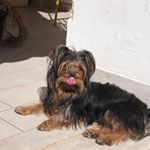 Profile Picture of Roberto Mazzotta (@roberto.mazzotta.9) on Instagram