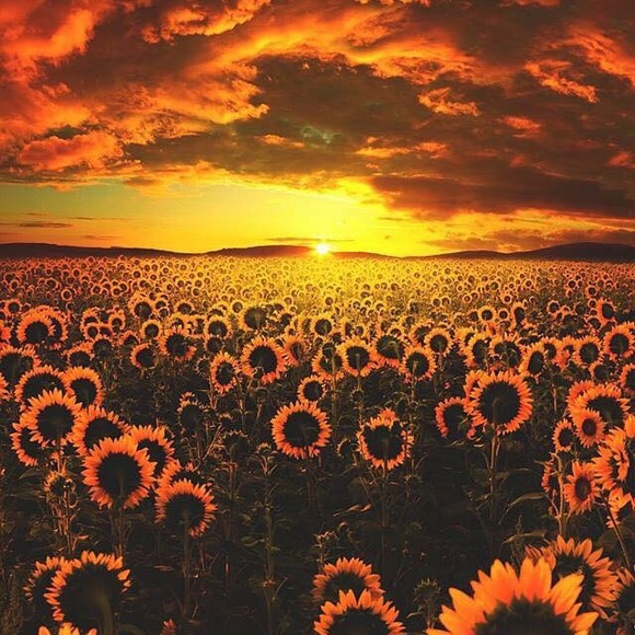 Profile Picture of Adrian Williams (@wadrian716) on Poshmark