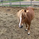 Profile Picture of Alyssabiddle15 (@alyssabiddle15) on Instagram
