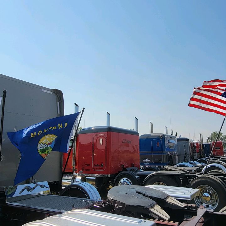 Profile Picture of David Steveson (@detaildaves) on Tiktok