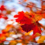 Profile Picture of gil valcacer (@iranilsonsouza) on Instagram