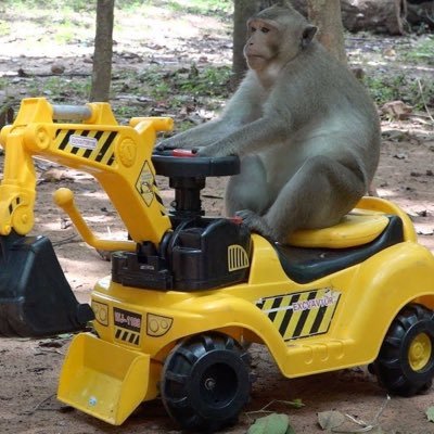 Profile Picture of Jeremy Ferrell (@JeremyF95680562) on Twitter