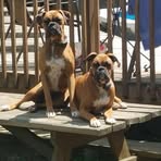 Debbie Phillips - Facebook Profile Picture of Debbie Phillips (@debbie.phillips.297269) on Facebook