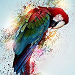 Luke Allmon - Instagram Profile Picture of Luke Allmon (@luke34a) on Instagram