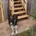 Profile Picture of Nicholas Fuhr (@nfuhr) on Facebook