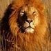 Profile Picture of Hossein Moghadam (@hossein.moghadam.50) on Facebook