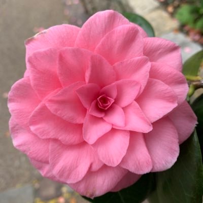 Profile Picture of Julia Mair (@jmair) on Twitter