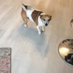 Profile Picture of Paula Hanneken (@paulahanneken_1508) on Instagram