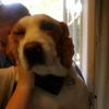 Profile Picture of Clint Patton429 (@@clintpatton1) on Tiktok