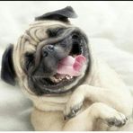 Profile Picture of Paul Before (@Paul-Before) on Facebook