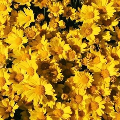 Profile Picture of SAID (@chris_lipa) on Twitter