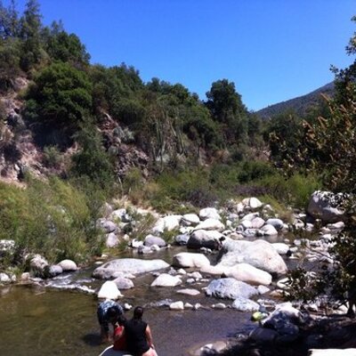 Profile Picture of Jose Avello (@canoavello) on Twitter