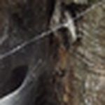 Profile Picture of Ray Sanchez (@rsanchez2) on Flickr