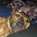 Profile Picture of James D Cuthbertson (@jamesdcuthbertson) on Pinterest