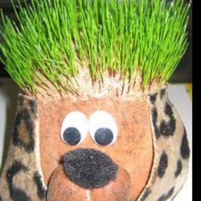 Profile Picture of John Freitag (@papa_chia) on Twitter