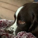 Profile Picture of Glen Proctor (@gproctor25) on Instagram