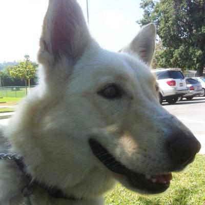 Profile Picture of William Mistretta (@wmmary2) on Twitter