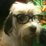 Profile Picture of Dimitris Drakatos (@dimitrisdras) on Instagram