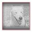 Profile Picture of Kevin Cassells (@kevin-cassells-6) on Quora