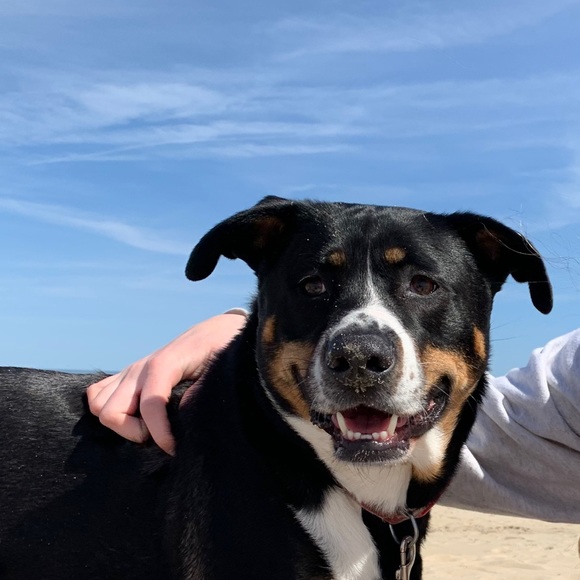 Profile Picture of Claire Kenealy (@clairekenealy) on Poshmark