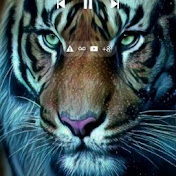 Profile Picture of Abraham Smith (@abrahamsmith2218) on Youtube