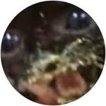 Profile Picture of Johnathan Conner Taylor (@johnathandaman) on Instagram