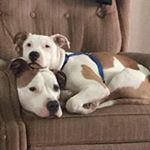 Profile Picture of Deanna Hicks Bennett (@deannahicksbennett) on Instagram