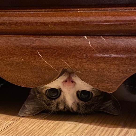 Profile Picture of Tabitha Nichols (@nichols1203) on Poshmark