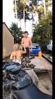 Profile Picture of   jarbear (@_jarbear_31)... (@_jarbear_31) on Tiktok