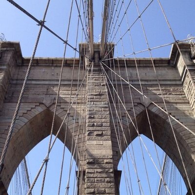 Profile Picture of Joe Kaluza (@looneyscientist) on Twitter