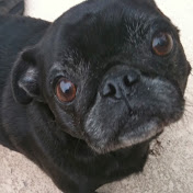 Profile Picture of Michael Finn (@michaelfinn240) on Youtube