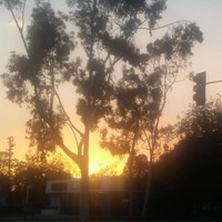Profile Picture of Dalia Castaneda (@dalia-castaneda-1) on Quora