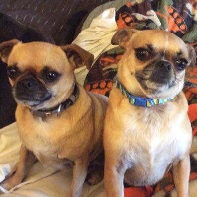 Profile Picture of Scott Crothers (@CrothersScott) on Twitter