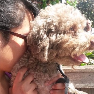 Profile Picture of Toby And The Falcon (@TobyandFalcon) on Twitter