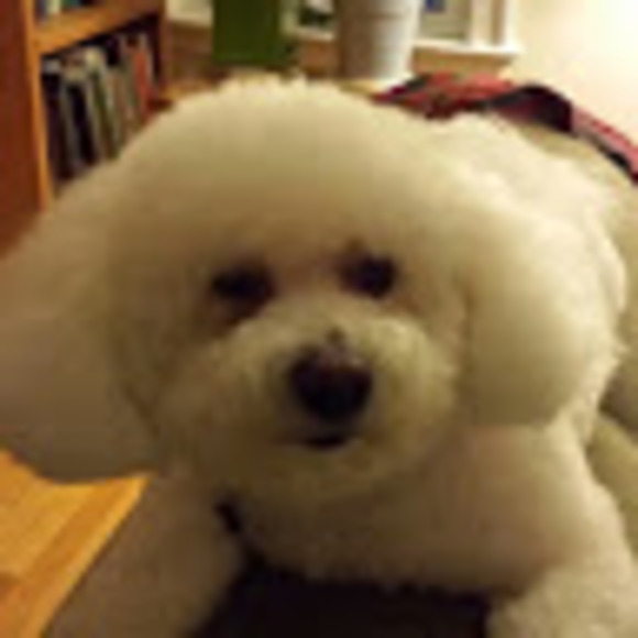 Profile Picture of Barbara Mendell (@gibbybay) on Poshmark