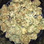 Profile Picture of Dank Bud💨 (@houstontxbud) on Instagram