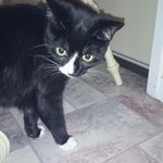 Profile Picture of james stiles (@jstiles203) on Instagram