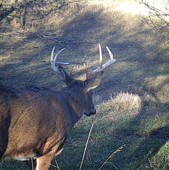 Profile Picture of Joseph Bloom (@bloomjoseph7) on Poshmark