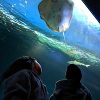 Profile Picture of Cindy Lui (@cindy-lui-6) on Quora