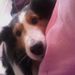 Profile Picture of Lynnette Ortiz (@tinyone114) on Pinterest