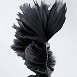 Profile Picture of John Winks (@jowiryo) on Instagram