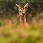 Profile Picture of David Morey (@david_morey_photography) on Instagram