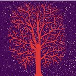 Profile Picture of Evan Rohrbach (@e.rohrbach) on Instagram