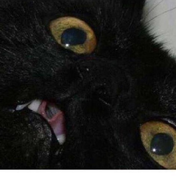 Profile Picture of Nick Karczynski (@nickkarz) on Poshmark