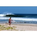 Profile Picture of Peter Healey (@peter_healey) on Instagram