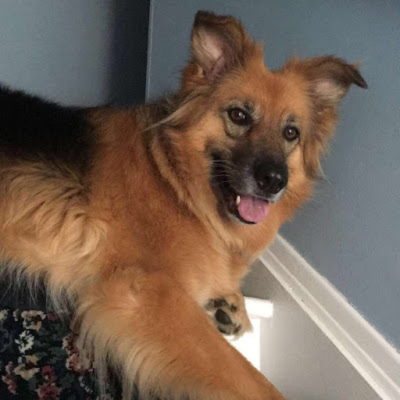 Profile Picture of Sunshine Hoggarth (@maryhoggarth16) on Poshmark