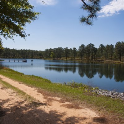 Profile Picture of Eli Boyd (@EliBoyd88164155) on Twitter