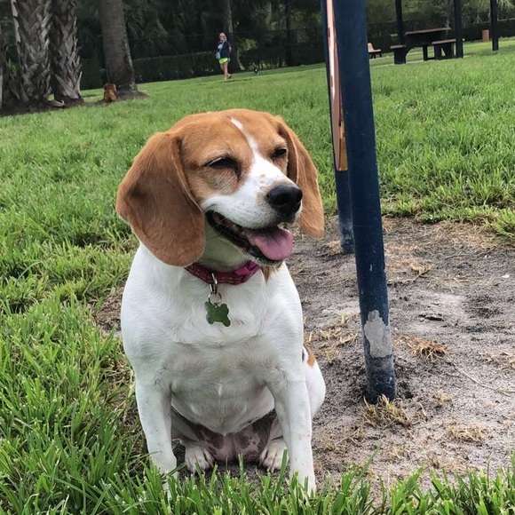 Profile Picture of Jason Wolk (@jasonwolk10) on Poshmark