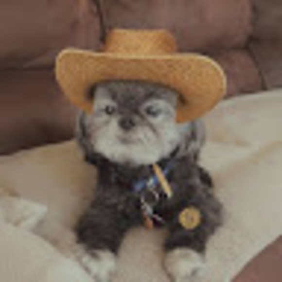 Profile Picture of David Salceda (@fwbclub) on Poshmark